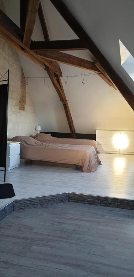 Bourgueil - Grand Appartement Proche Cnpe Chinon Ngoại thất bức ảnh